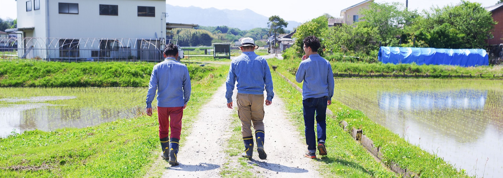田んぼの畦道を歩く生産者